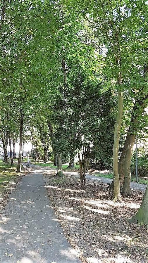 Apartments Am Spitalthor Straubing Zewnętrze zdjęcie